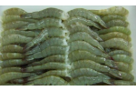 CÔNG TY TNHH THỦY SẢN NAM KINH