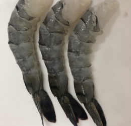 Tôm Sú PTO Loại 5
