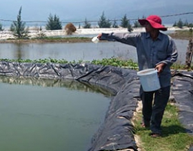 Kiểm định chất lương 2 