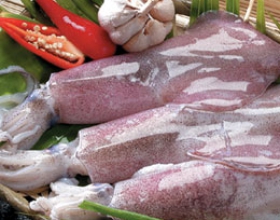 Kiểm định chất lương
